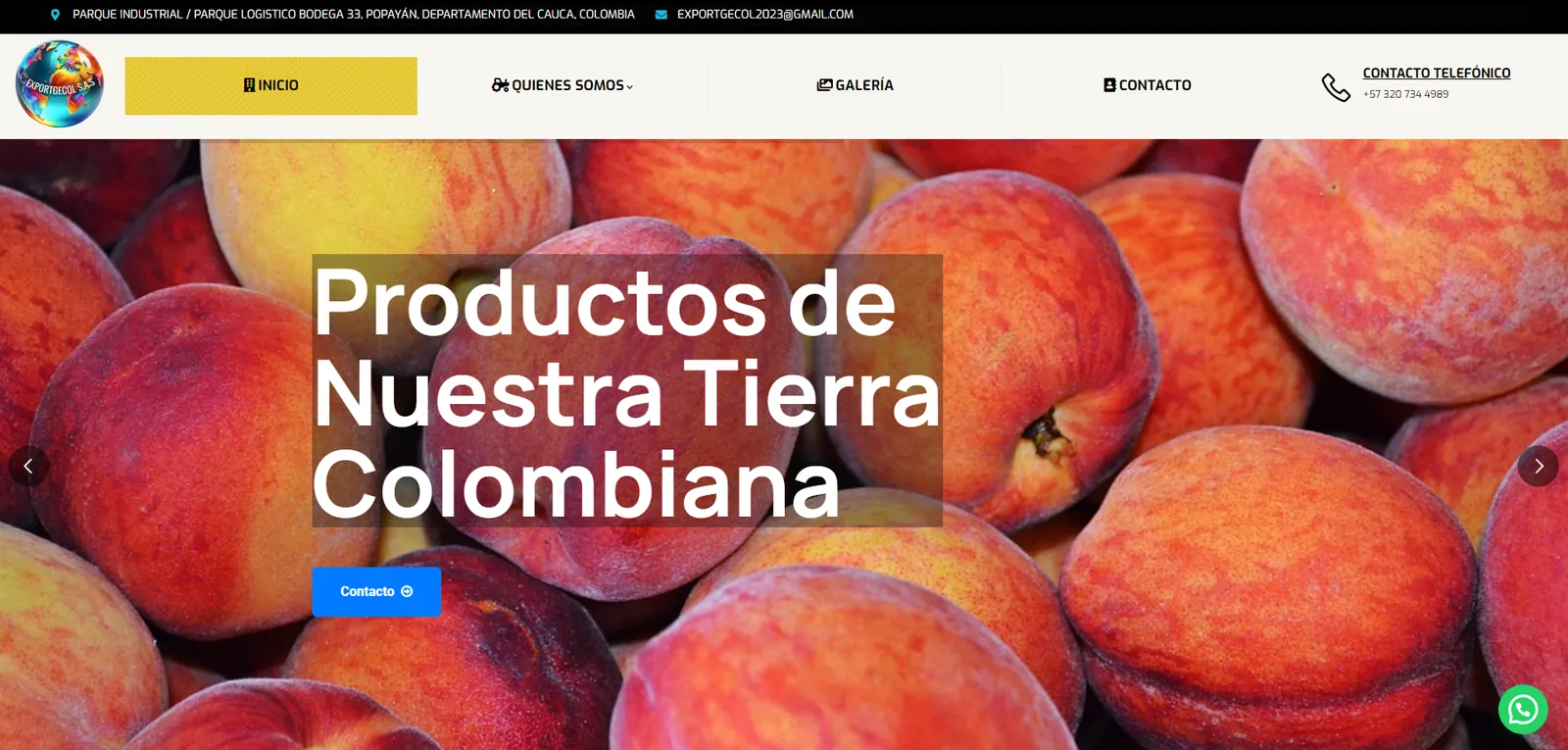 Sitios Web Empresariales — Agencia de Marketing